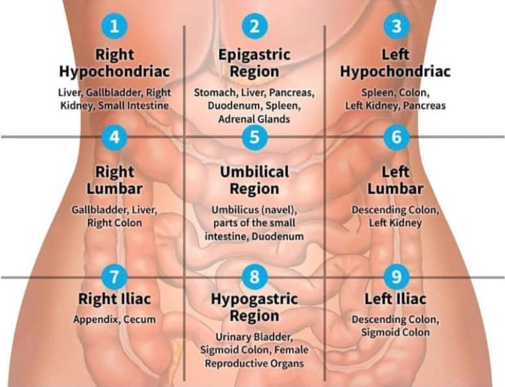 How To Do Self Abdominal Massage For Bloating And Constipation